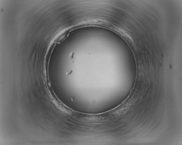 X0000067340792200604131724