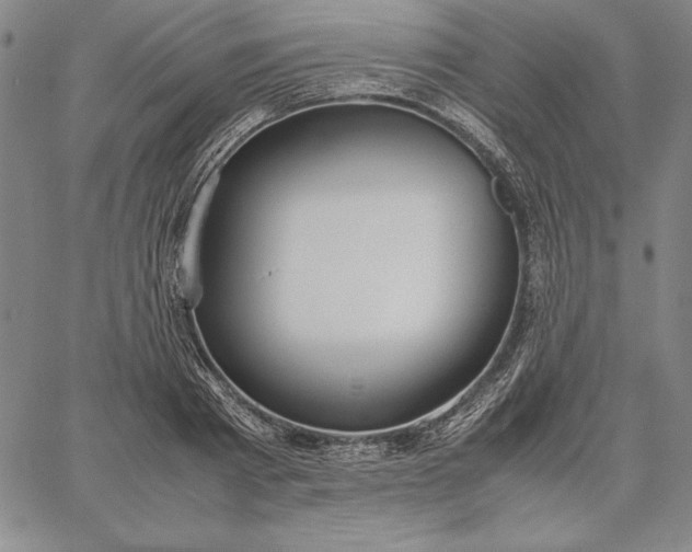 X0000067340793200604131724