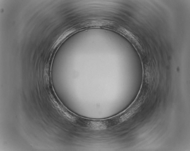 X0000067340794200604131724