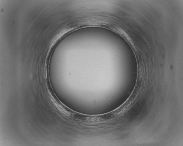 X0000067340795200604131724