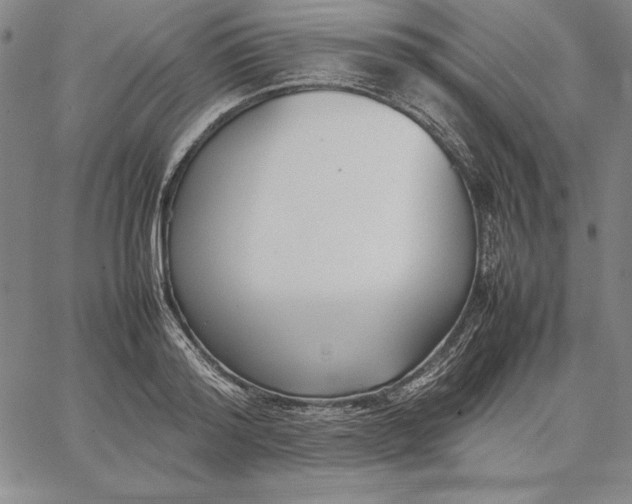 X0000067340796200604131724