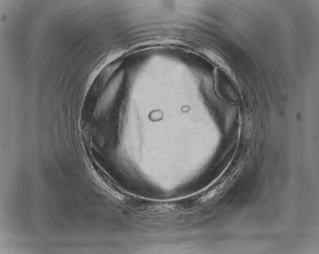 X0000067340797200604131724