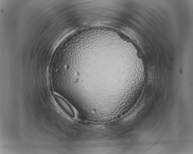 X0000067340798200604131724