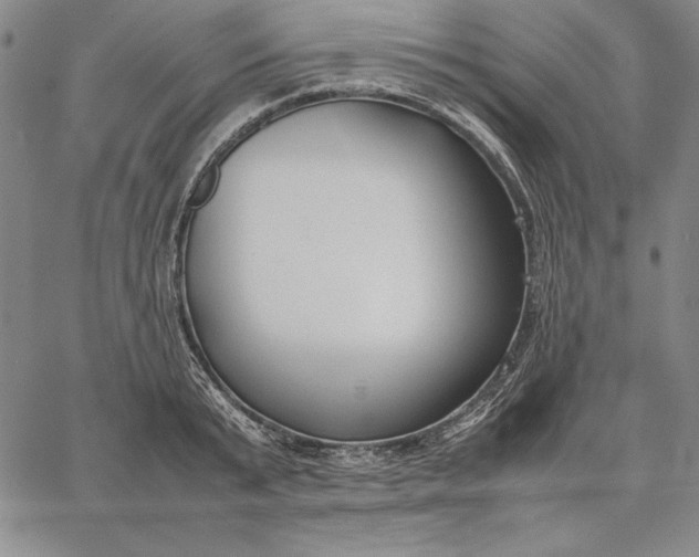 X0000067340799200604131724