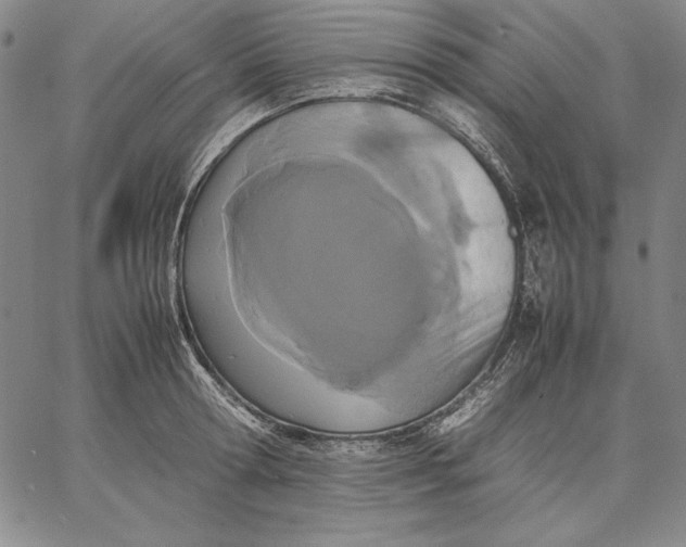 X0000067340802200604131724