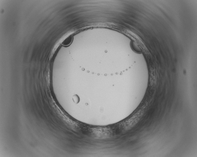 X0000067340804200604131724