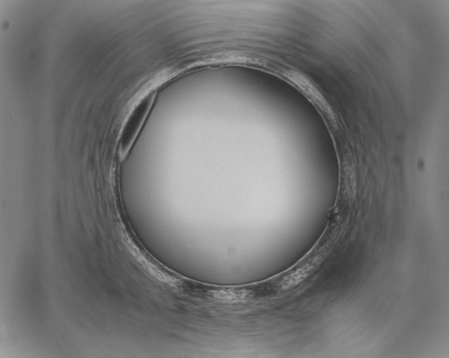 X0000067340805200604131724