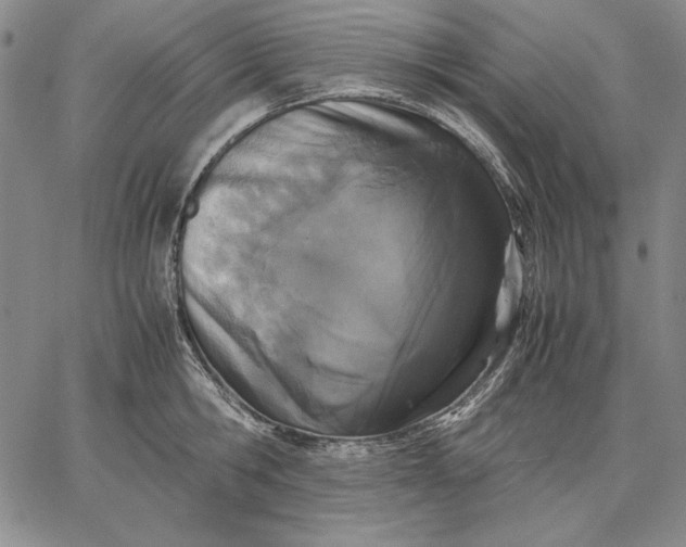 X0000067340806200604131724