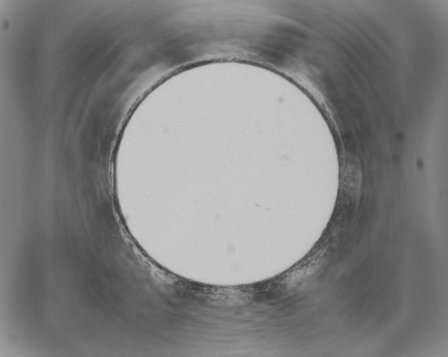 X0000067340807200604131724