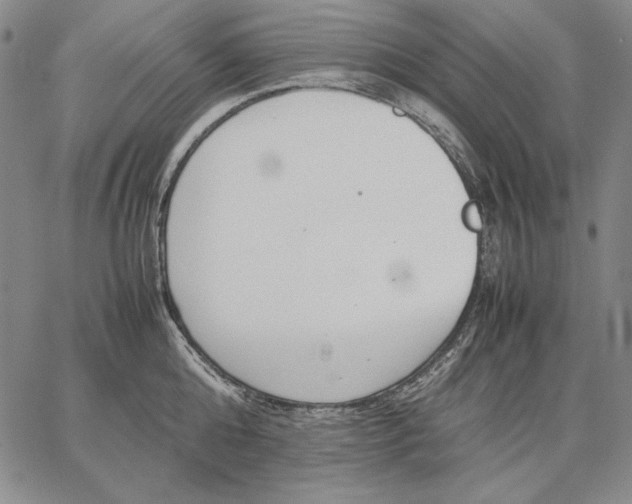 X0000067340808200604131724