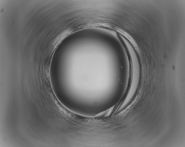 X0000067340809200604131724