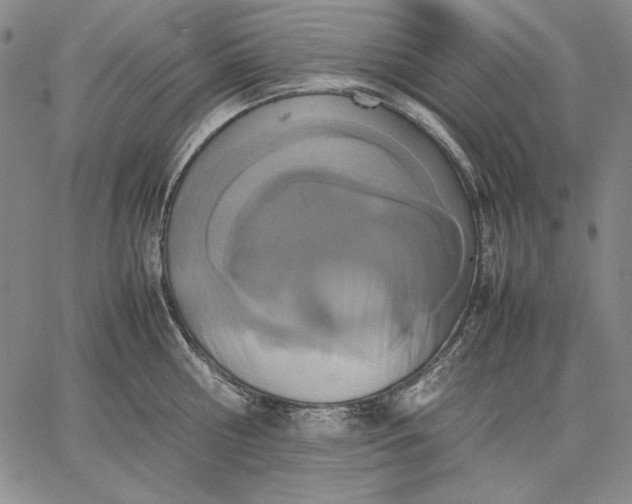 X0000067340810200604131724