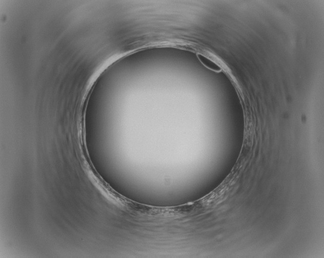 X0000067340811200604131724