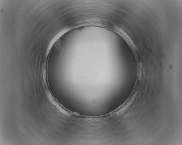 X0000067340812200604131724