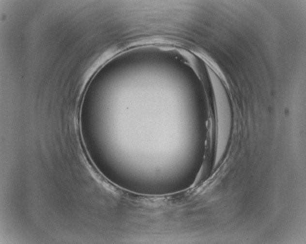 X0000067340813200604131724