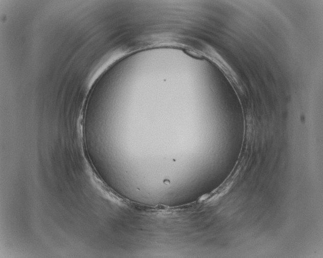 X0000067340814200604131724