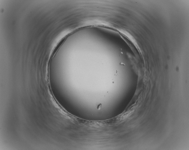 X0000067340815200604131724