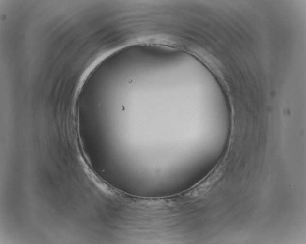 X0000067340816200604131724