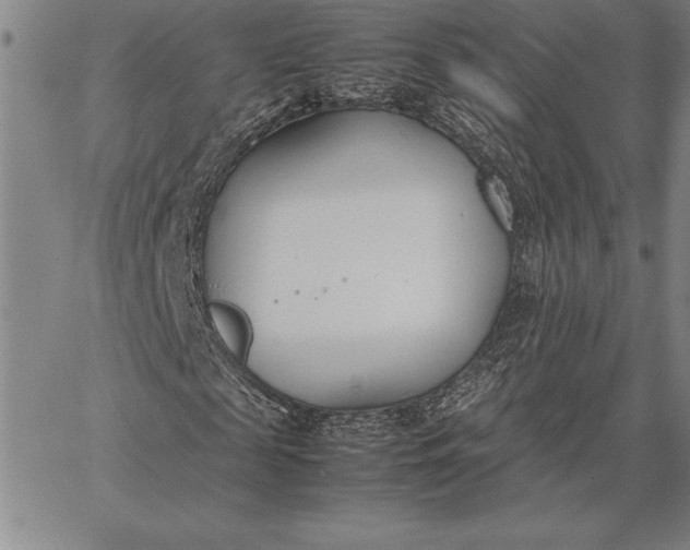 X0000067340817200604131723