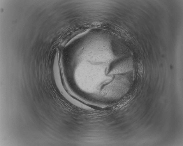 X0000067340818200604131723