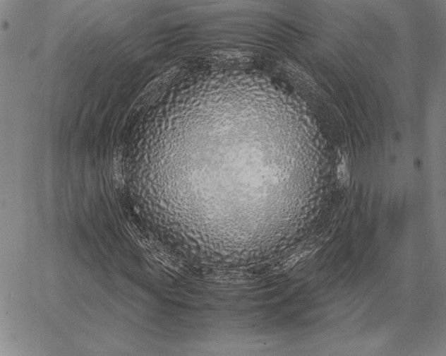 X0000067340819200604131723