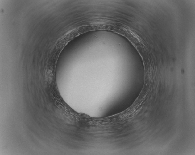 X0000067340821200604131723