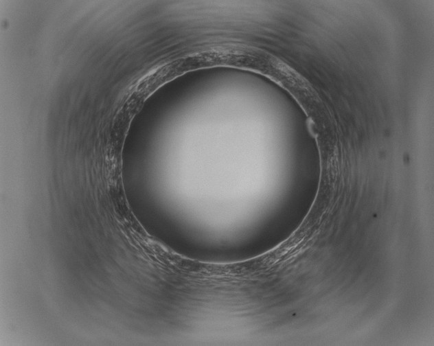 X0000067340822200604131723