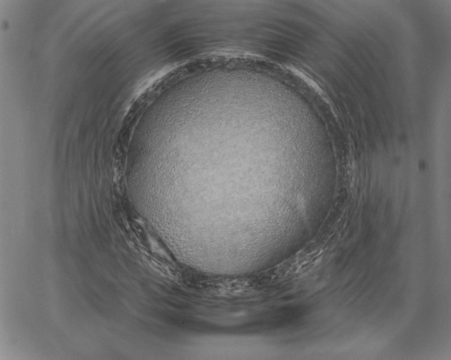 X0000067340823200604131723