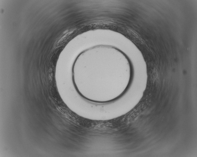 X0000067340824200604131723