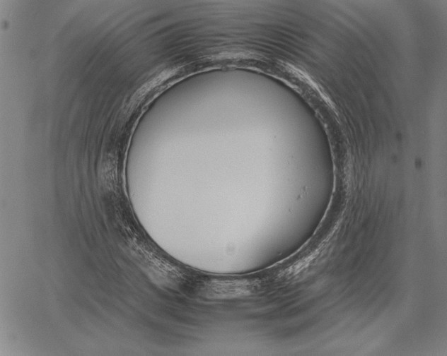 X0000067340825200604131723