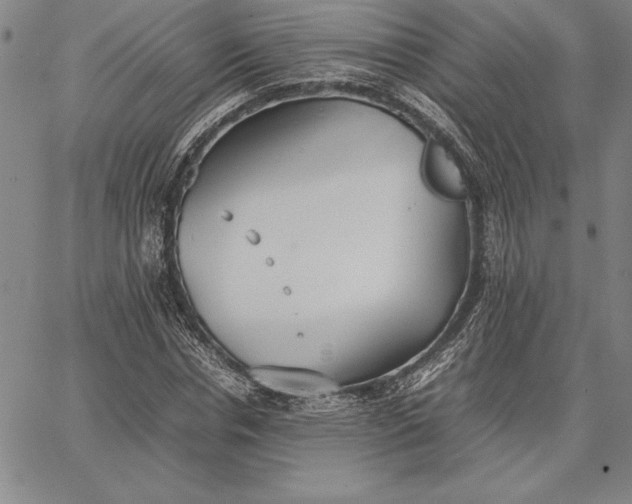 X0000067340826200604131723