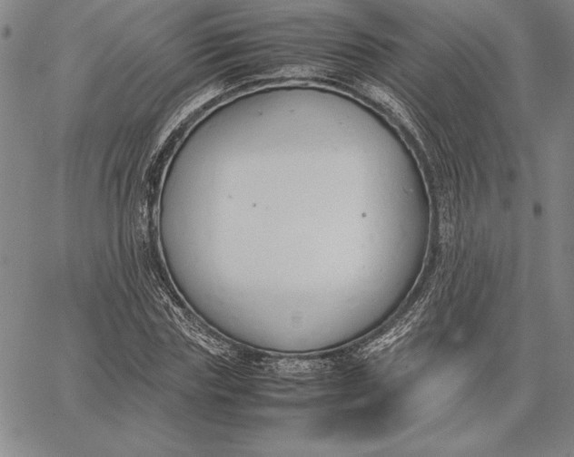 X0000067340827200604131723