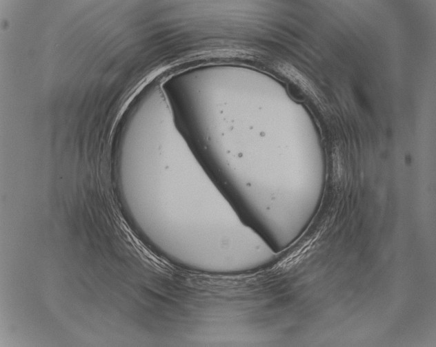 X0000067340828200604131723