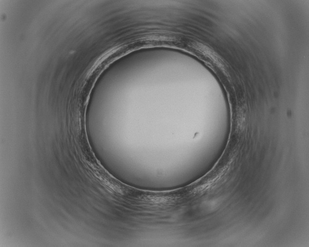 X0000067340829200604131723