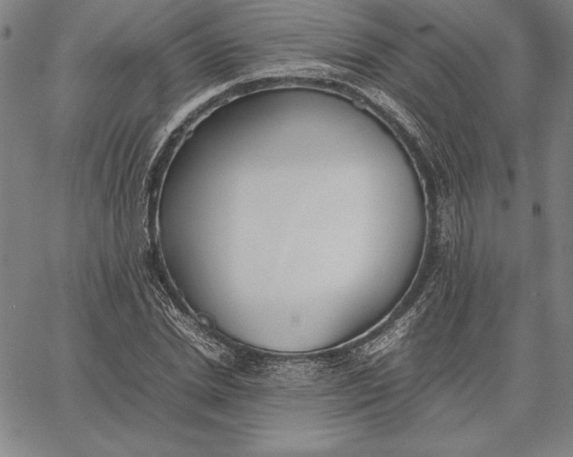 X0000067340830200604131723