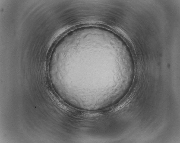 X0000067340831200604131723