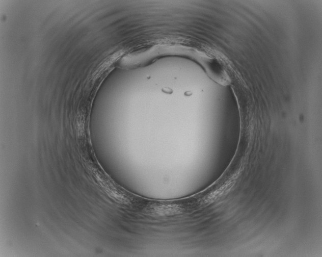 X0000067340833200604131723