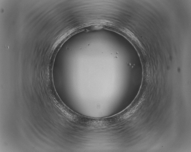 X0000067340834200604131723