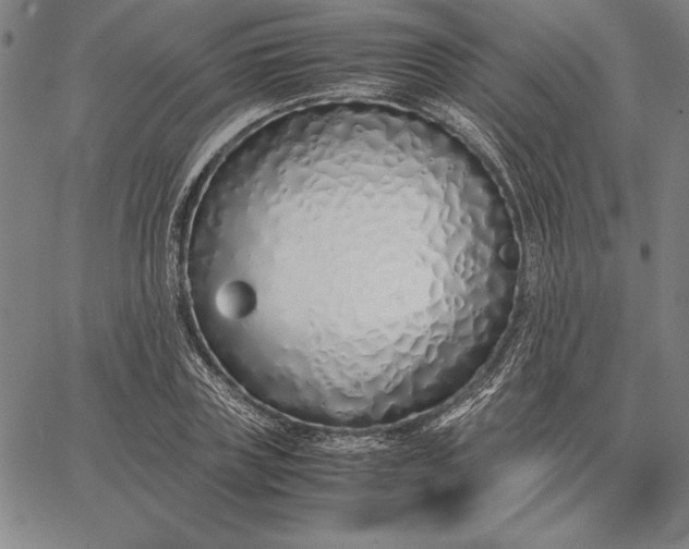 X0000067340835200604131723