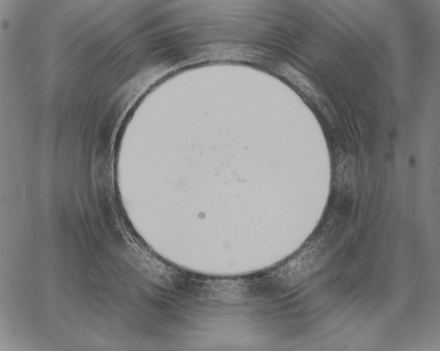 X0000067340836200604131723