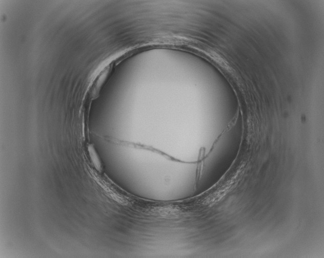 X0000067340838200604131724