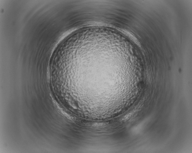 X0000067340839200604131724