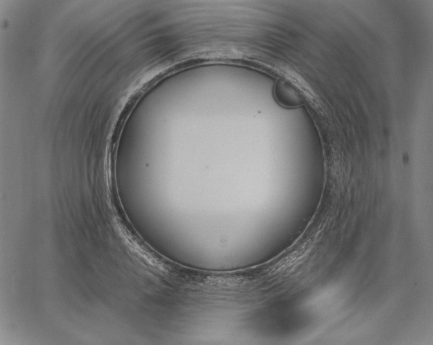 X0000067340840200604131724