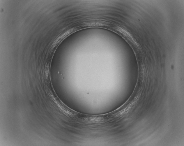 X0000067340841200604131724