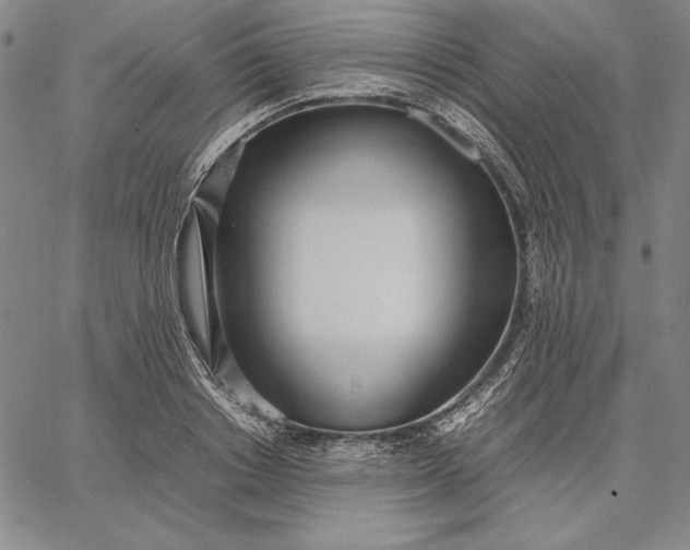 X0000067340842200604131724