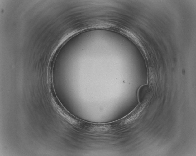 X0000067340843200604131724