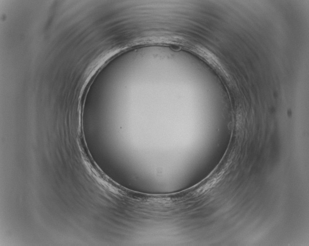 X0000067340844200604131724