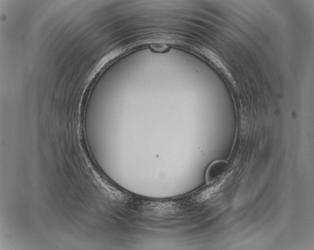 X0000067340845200604131724