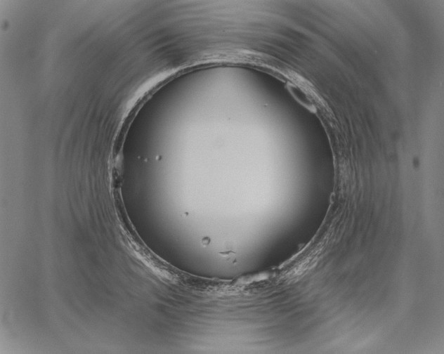 X0000067340846200604131724