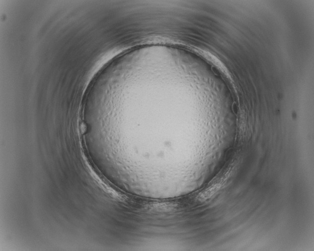 X0000067340847200604131724